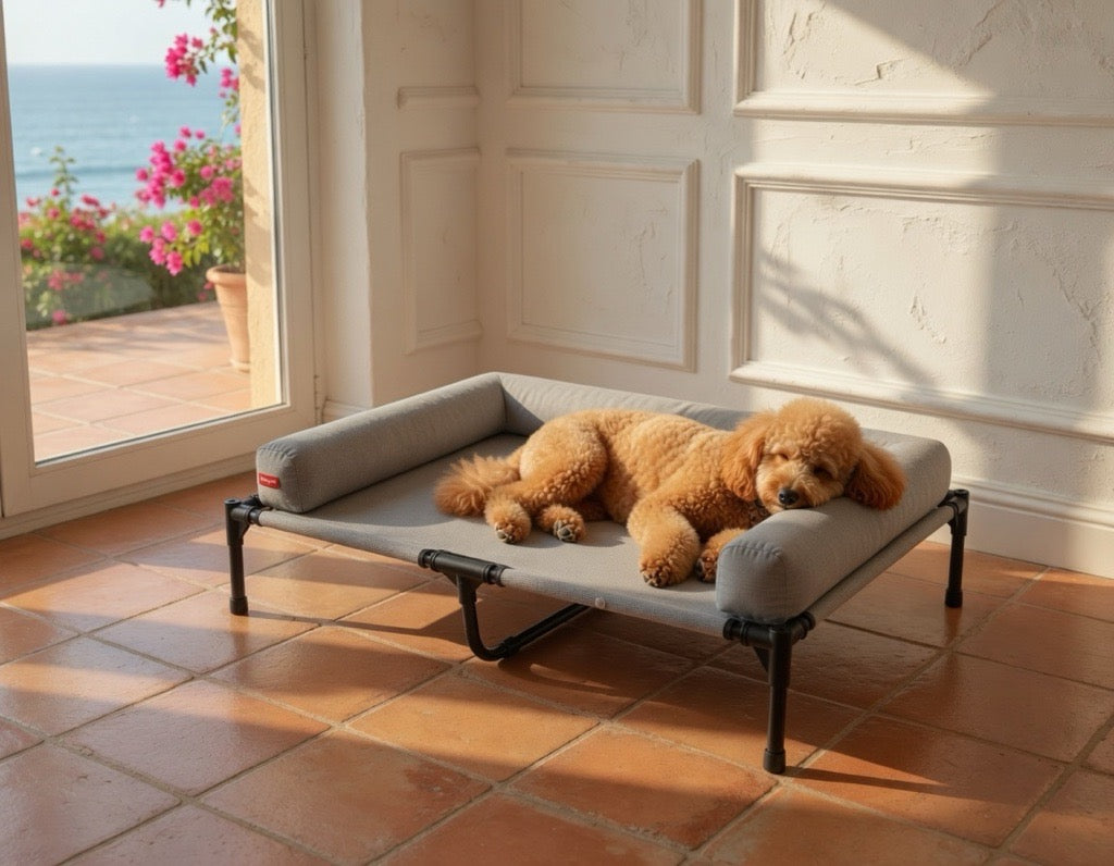 Cama Elevada Transpirable Pacman - Descanso profundo y Fresco