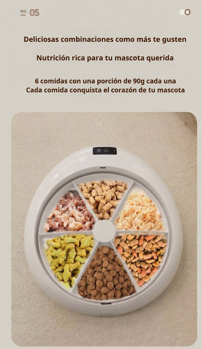 Comedero Inteligente 6 en 1
