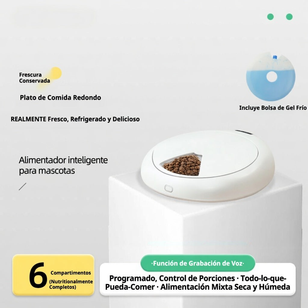 Comedero Inteligente 6 en 1