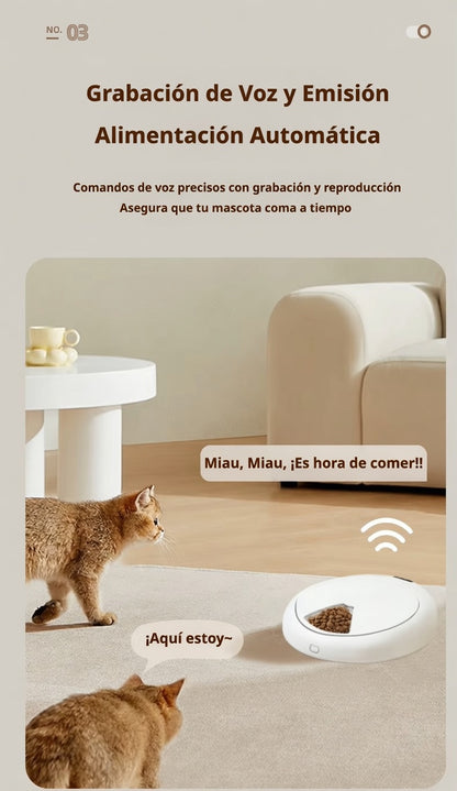 Comedero Inteligente 6 en 1